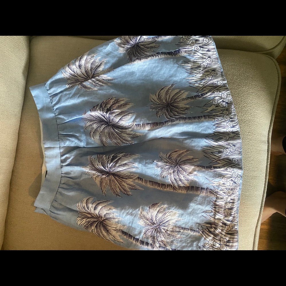 Jcrew skirt